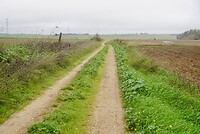 DSC07051