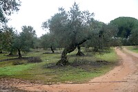 DSC07040