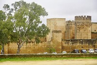 DSC07064