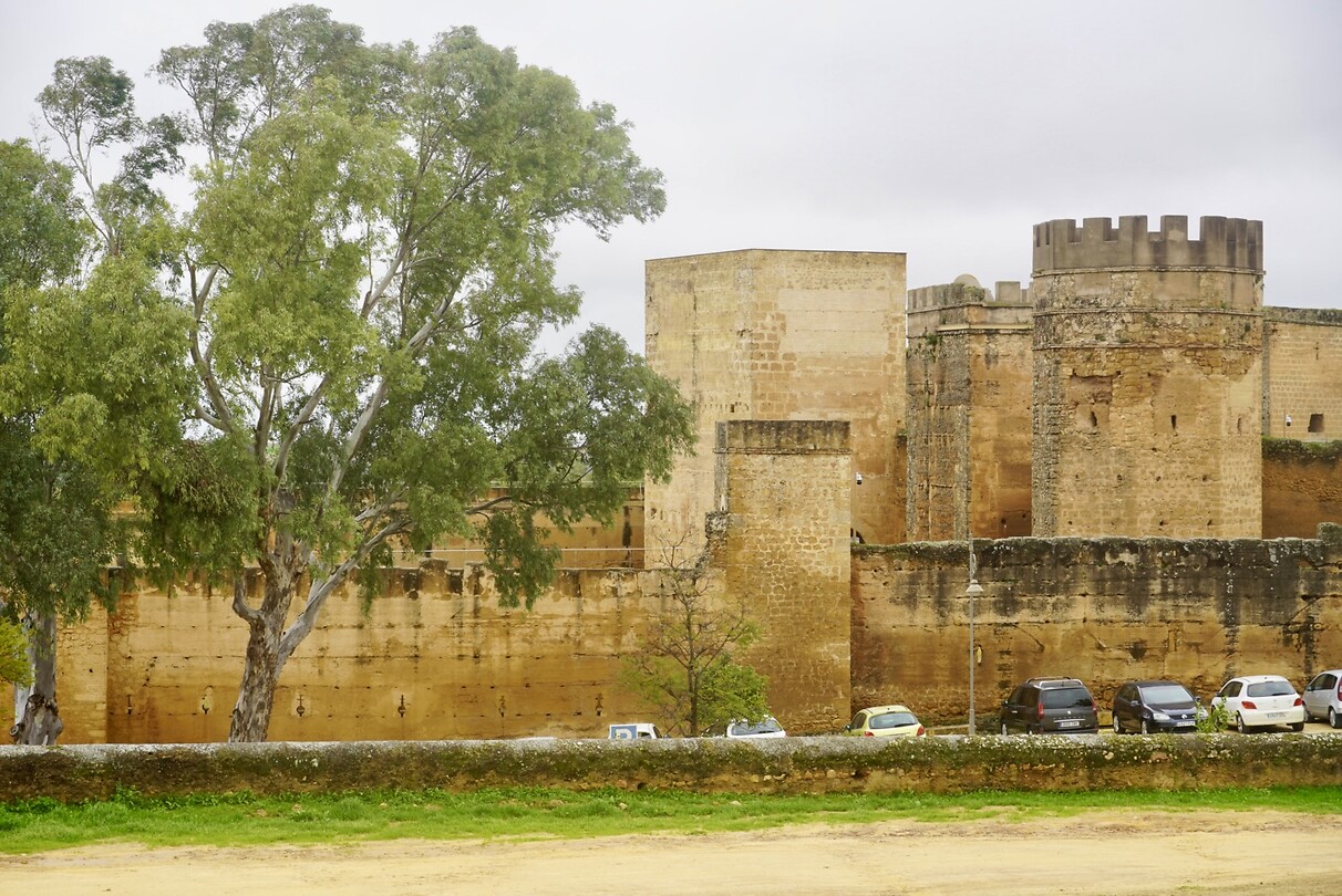 DSC07064