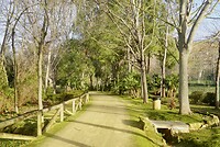 DSC07085