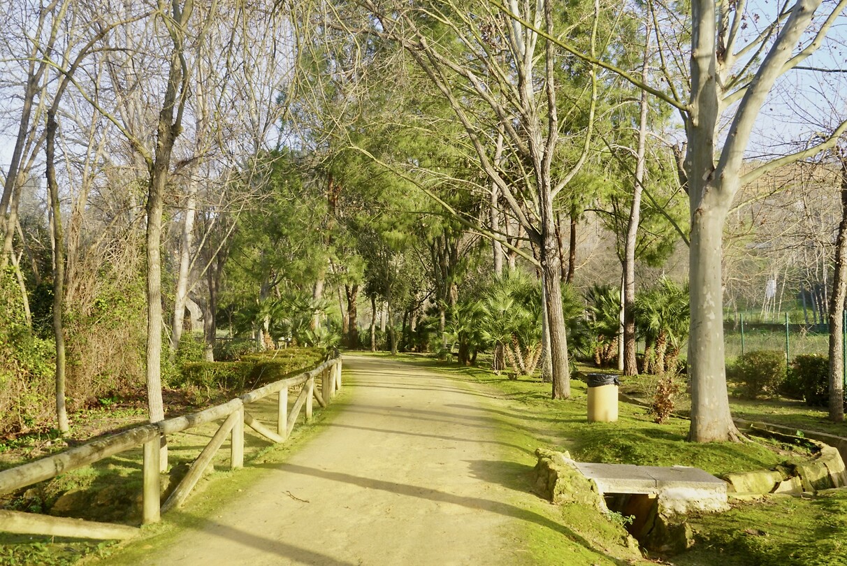 DSC07085
