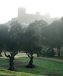 DSC07078