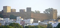 DSC07076