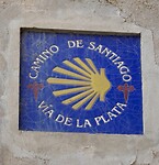 DSC07095