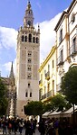 DSC07092