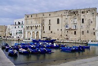 DSC07219