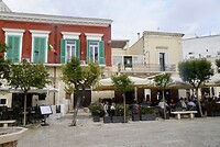 DSC07213