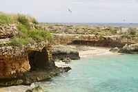 DSC07247