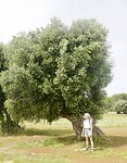 DSC07264