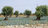 DSC07280