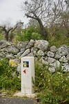 DSC07323
