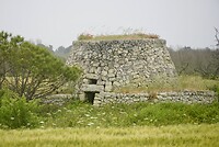 DSC07319