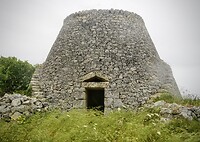 DSC07321
