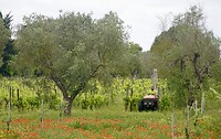 DSC07373