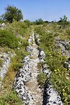 DSC07381