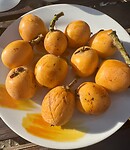 IMG_0688