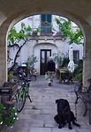 DSC07396
