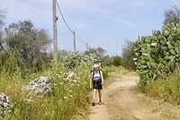 DSC07420