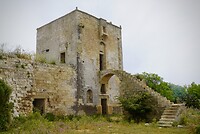 DSC07491