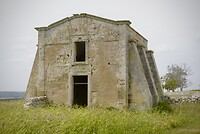 DSC07492