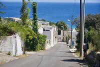 DSC07520