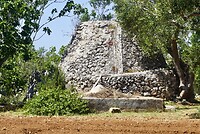 DSC07515