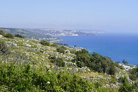 DSC07512