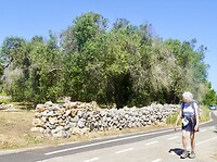 DSC07508