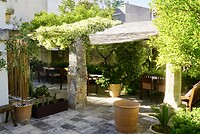 DSC07526