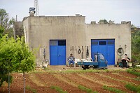 DSC07538
