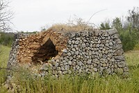 DSC07544