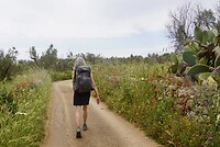 DSC07545