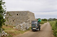 DSC07546
