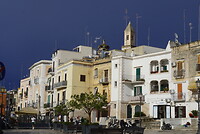 DSC07591