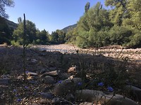 Rio Aragon
