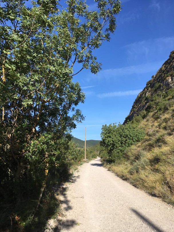 Wandelen op een oude spoorbaan.