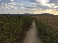 Op weg naar de Alto del Perdon.