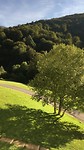 Uitzicht vanuit de herberg.