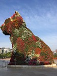 De puppy voor het Guggenheim.