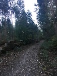 Mooi wandelpad ter afwisseling van de drukke wegen.