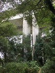 Mooi wandelpad onder de drukke weg door!