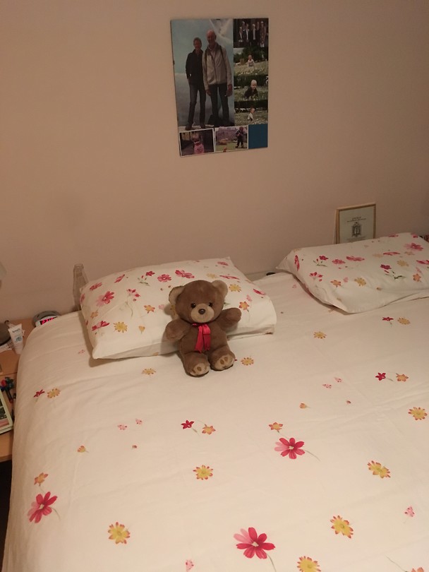 Heerlijk weer in mijn eigen bed!