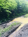 Modderplassen op het pad.