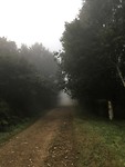 Mooie route door het bos.