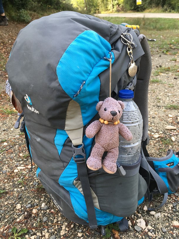 Teddy is ook weer meegeweest.