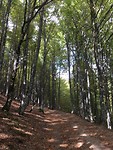 Wandelpad naar Le Poeder.