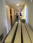 henk, Theo en Wim in actie tegen de bedwantsen,