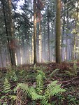 Herfstwandeling bij Honeck.