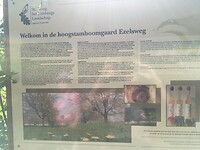 Natuurgebied bij de Ezelseweg waar we even van het pad waren!